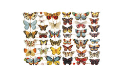 Creativ Company | Streudeko | Schmetterling