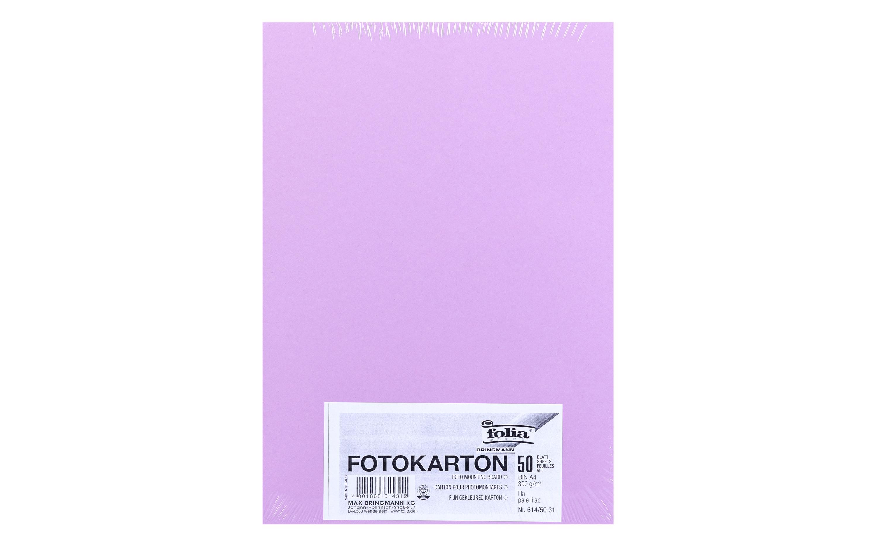 Folia, Fotokarton A4, 300 g/m², 50 Blatt, L