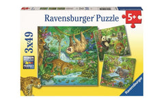 Puzzle Im Urwald
