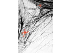 Partydeco | Halloween Spinnennetz | 60g, schwarz