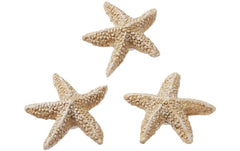 Hobbyfun Mini-Tier Seestern natur