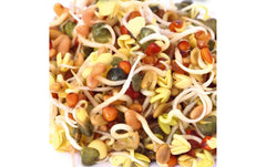 HARRY HERBS Microgreens Nachfüllset