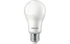 LED 100W A67 E27 CW FR ND 6CT/6 EC