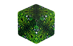 Shashibo | Cube Forest