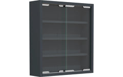 VCM Wandvitrine Agisa S