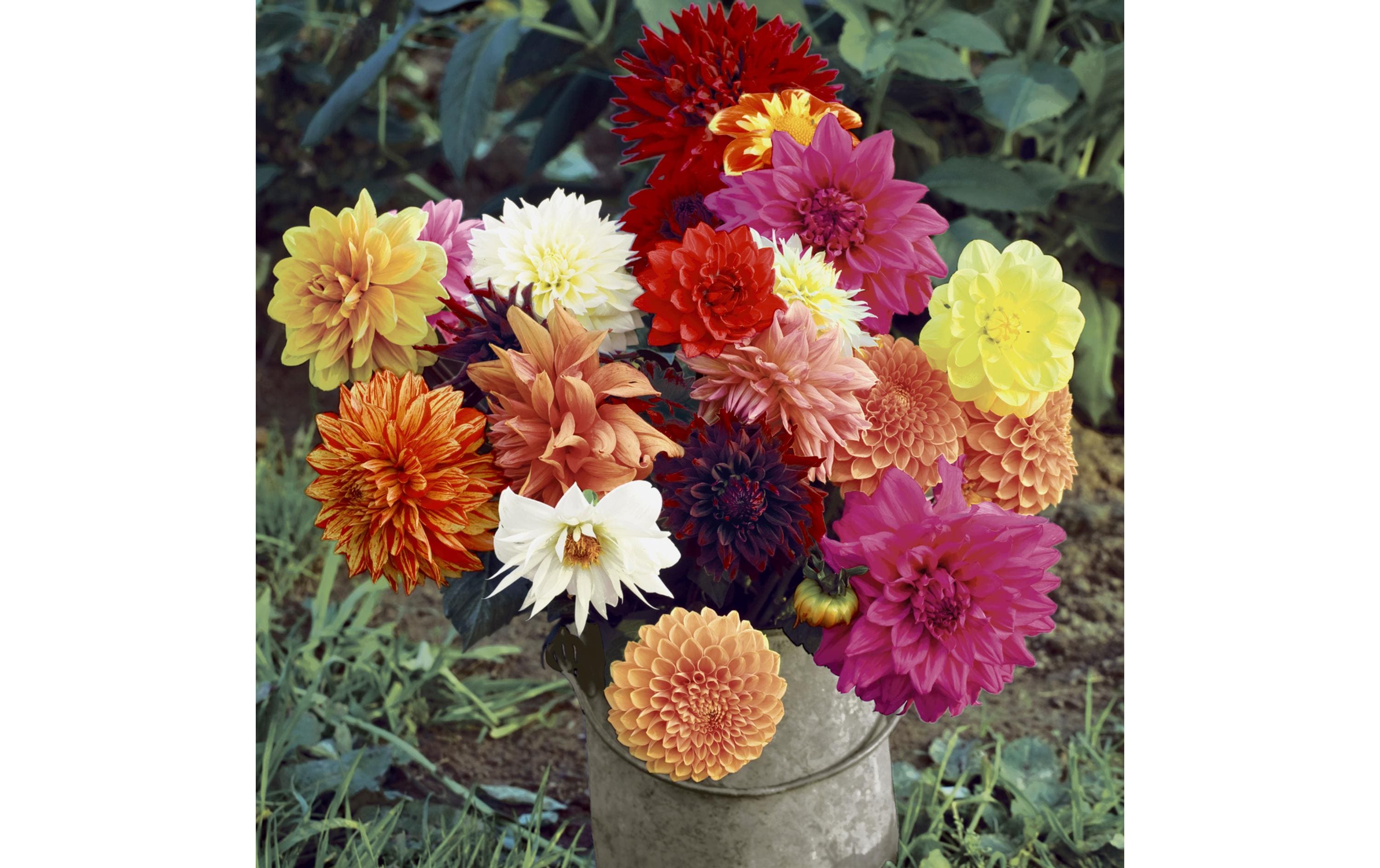 Paper + Design Servietten Floral Magic