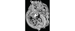 TATARUGA Samtbild A4, YinYang-Drache