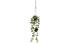 Star Trading künstliche Pflanze Laos 60cm