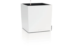 CUBE Color 40