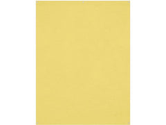 Westcott | X-Drop Pro Backdrop | Canary Yellow - Wrinkle-Resistant 5 x 7