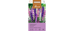 Samen Mauser | KönigsRittersporn Mischung | Delphinium ajacis