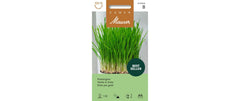 Samen Mauser | Katzengras 25g