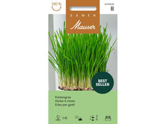 Samen Mauser | Katzengras 25g