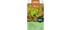 Samen Mauser Kopfsalat