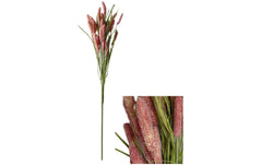 Chalet Blumenstiel Setaria