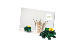 BRIXIES | Froschkönig | 60 bricks