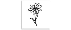 minink | Tattoo Edelweiss Blume | Grösse: S (2.4 cm x 4.2 cm)