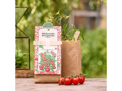 Die Stadtgärtner | Stadtgärtner Anzuchtsset | Wildtomate - BIO