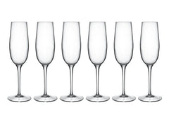Luigi Bormioli | Champagnerglas Palace | Verpackung à 6 Stück, 23.8cl