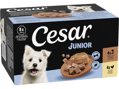 Cesar | Junior Gart.Terr Huhn&Truthahn 8x150g