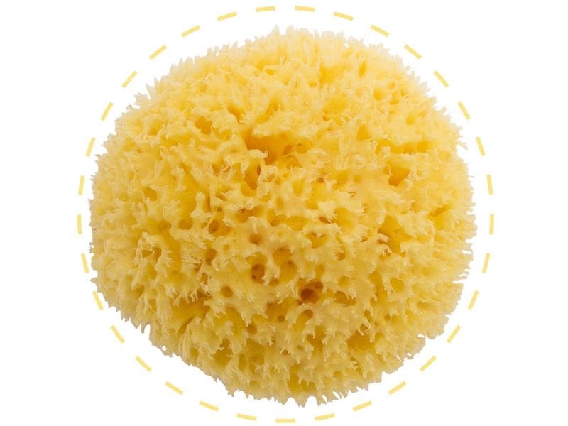 Bellini Baby | Bellini Naturschwamm Fine Silk Box | gebleicht, No. 7
