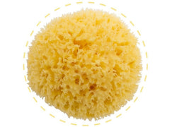 Bellini Baby | Bellini Naturschwamm Fine Silk Box | gebleicht, No. 7