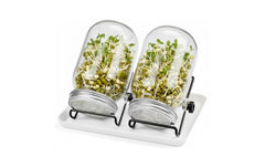 relaxdays | Sprossenglas 2er Set | Gestell & Schale , Weiss