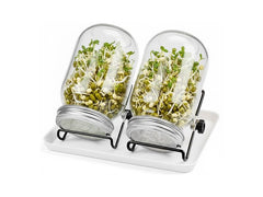 relaxdays | Sprossenglas 2er Set | Gestell & Schale , Weiss