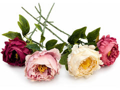 CHALET | Blumenbouquet Pfingstrosen | 87x20x10cm mix in Box