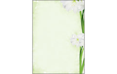 Sigel Motiv-Papier Green Flower A4
