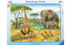 Afrikas Tierwelt