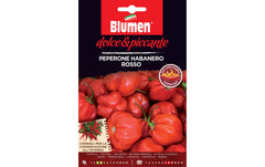 Blumen Paprika Habanero Rosso