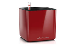 Lechuza | CUBE Glossy 16 | scarlet rot highgloss