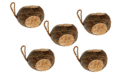 Eric Schweizer, Wintervogelfutter Coconut,