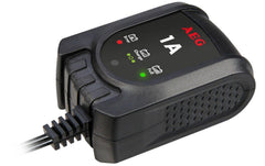 AEG Mikroprozessor Batteriepulser