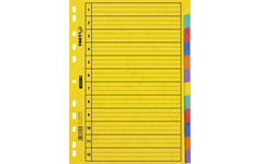 Brunnen Register A4 Fact Plus