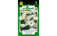 Samen Mauser | WiesenWucherblume, Grosse Margerite | Leucanthemum vulgare