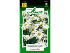 Samen Mauser | WiesenWucherblume, Grosse Margerite | Leucanthemum vulgare