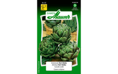 Samen Mauser | Artischocke Vert Globe | Cynara scolymus