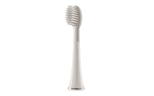 Whitewash | Waterpik Aufsteckbürste Standard SW-2011 | 2er-Set zu SW-2000