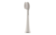 Whitewash | Waterpik Aufsteckbürste Standard SW-2011 | 2er-Set zu SW-2000