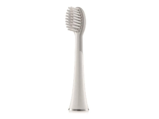 Whitewash | Waterpik Aufsteckbürste Standard SW-2011 | 2er-Set zu SW-2000