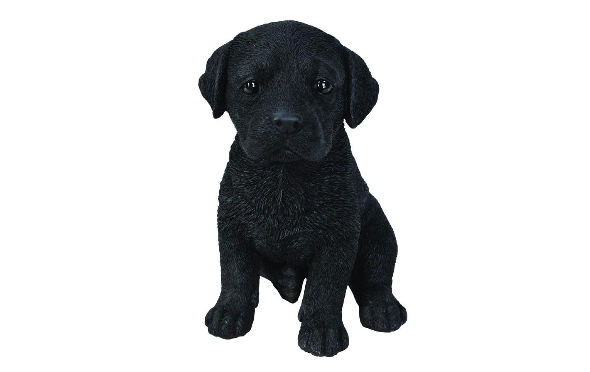 Vivid Arts Labrador Welpe, Schwarz