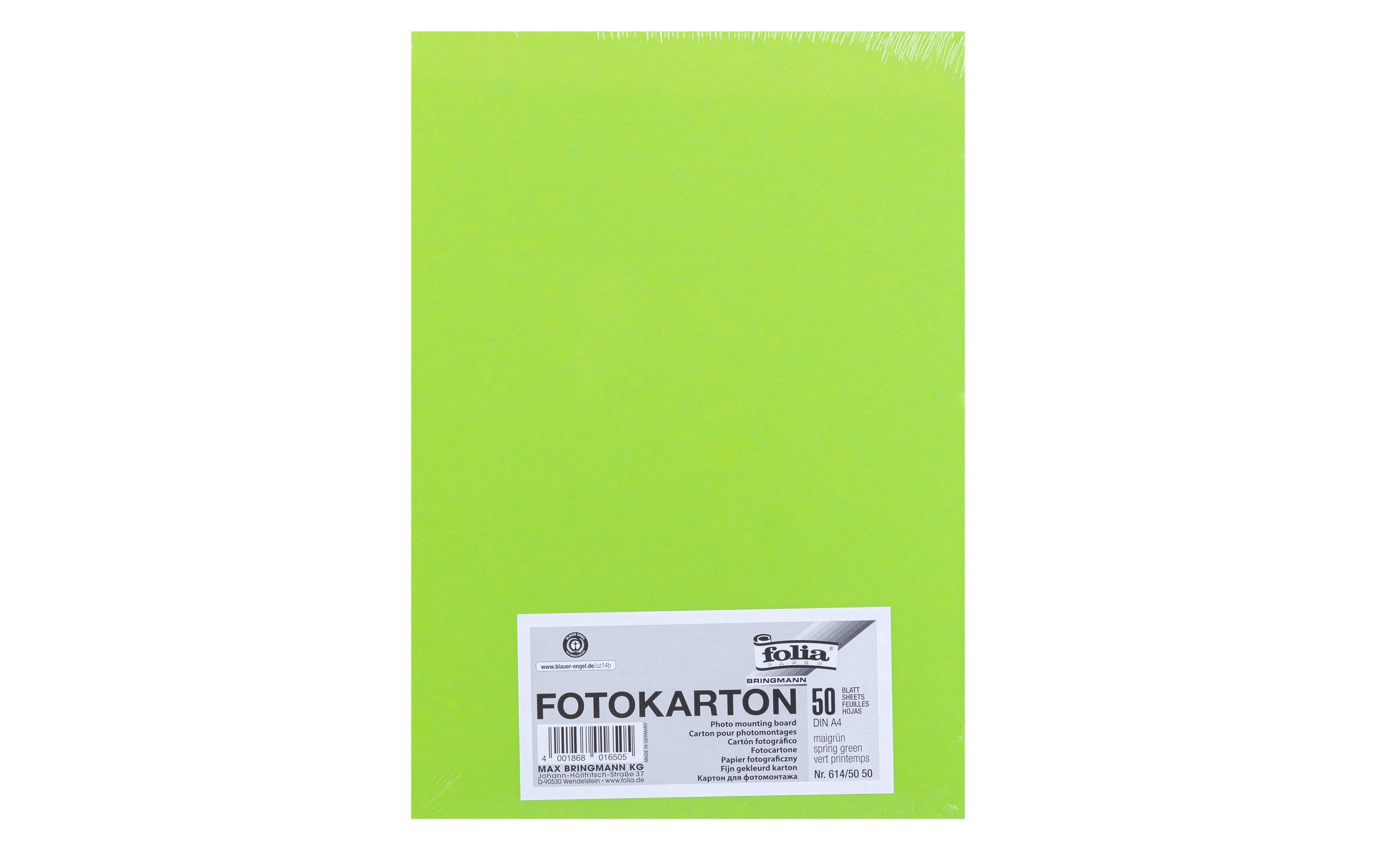 Folia, Fotokarton A4, 300 g/m², 50 Blatt, M