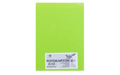Folia, Fotokarton A4, 300 g/m², 50 Blatt, M