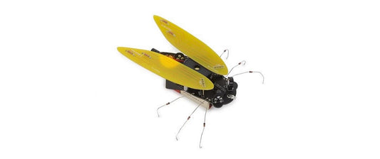 Whadda ELECTRONIC CICADA
