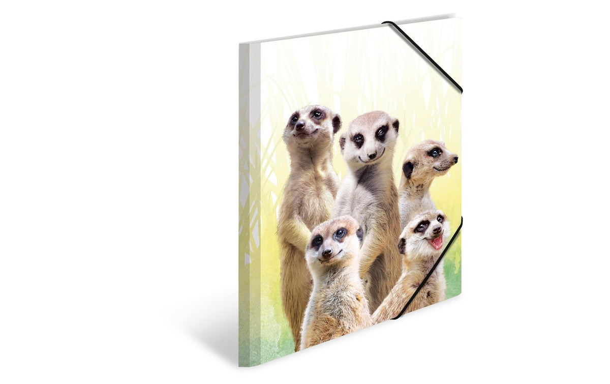 Herma Sammelmappe A4 Erdmännchen