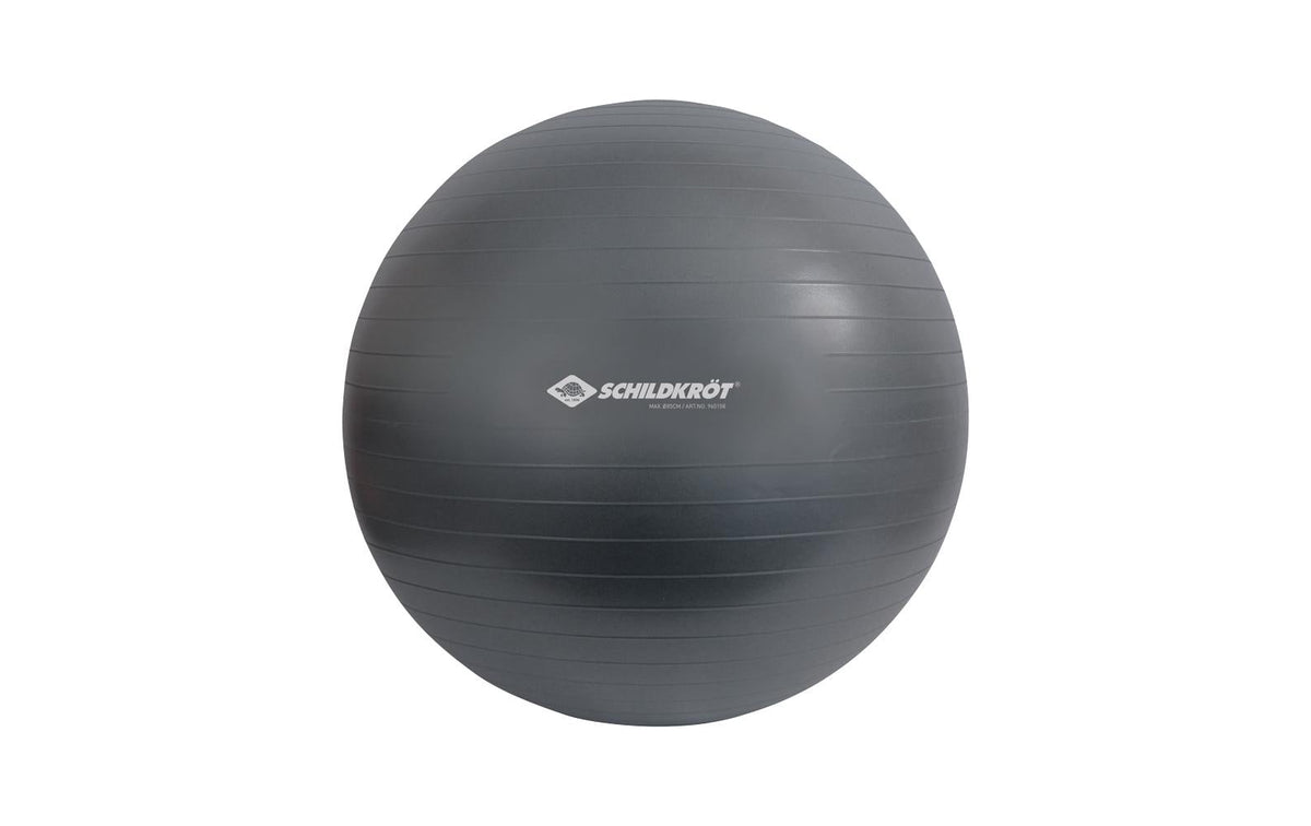 Schildkröt Fitness, Gymnastikball 85 cm