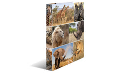HERMA, Ringbuch Afrika 2-Ring 3.5 cm, Mehrf