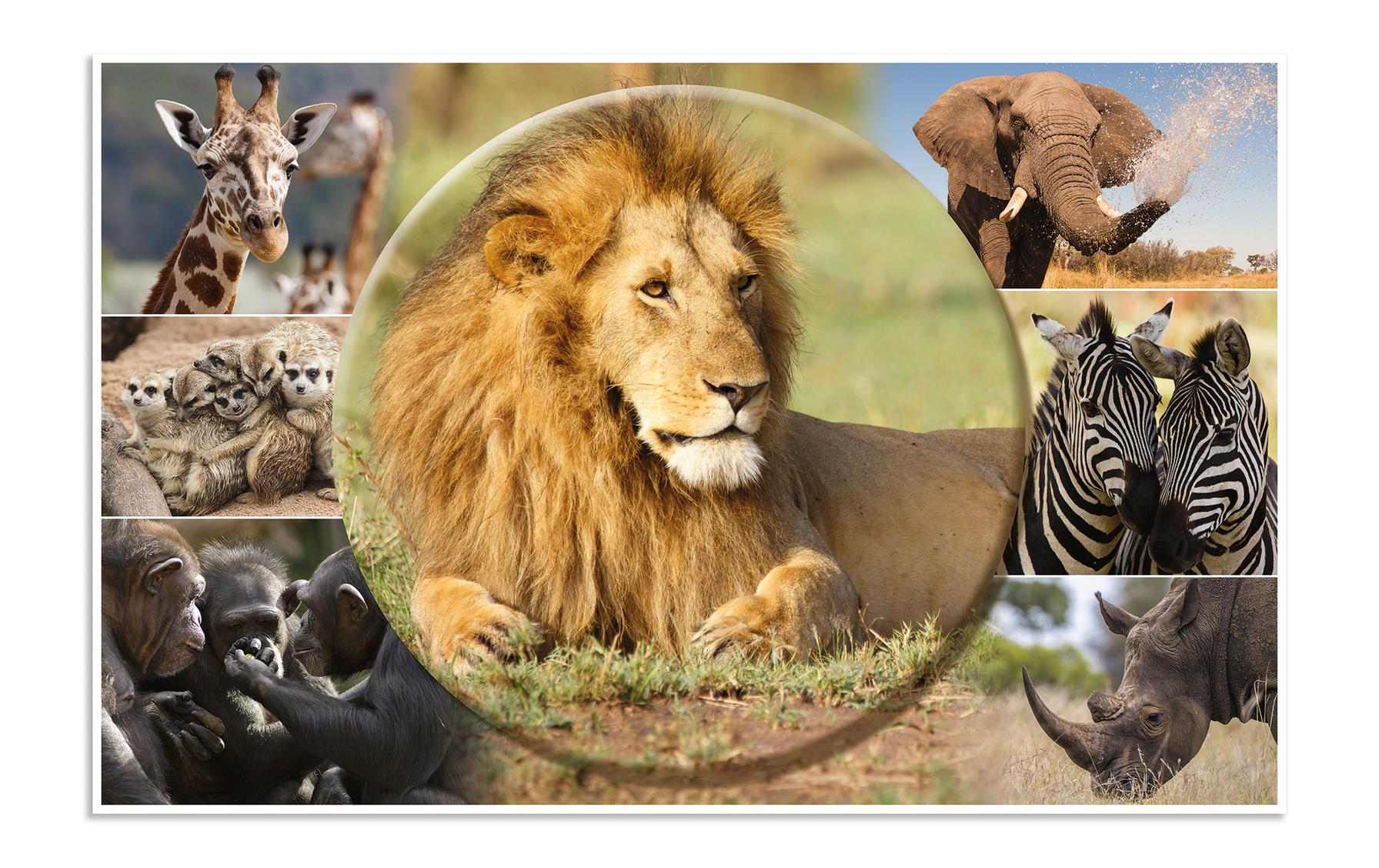 HERMA, Schreibunterlage Afrika Tiere 55 x 3